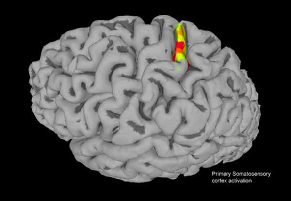 Paralyzed Patient Feels Sensation After Caltech Researchers Stimulate His Brain