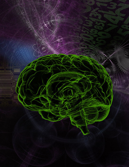 Scientists Can Now Predict Intelligence from Brain Scans