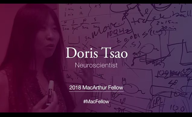 Doris Tsao Wins MacArthur “Genius Grant”