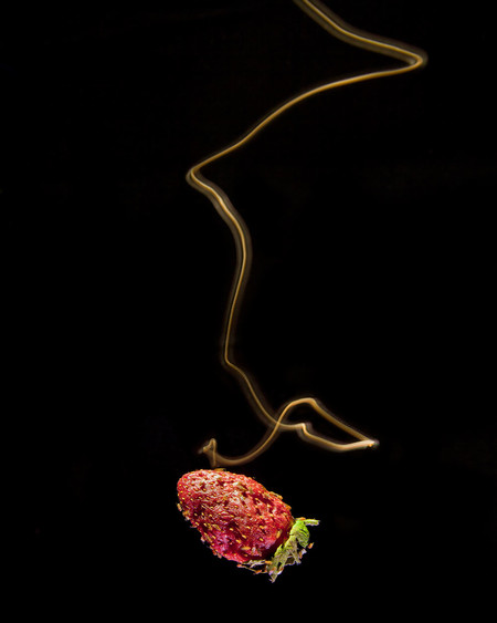 Cracking Open a Cold One with Fruit Flies