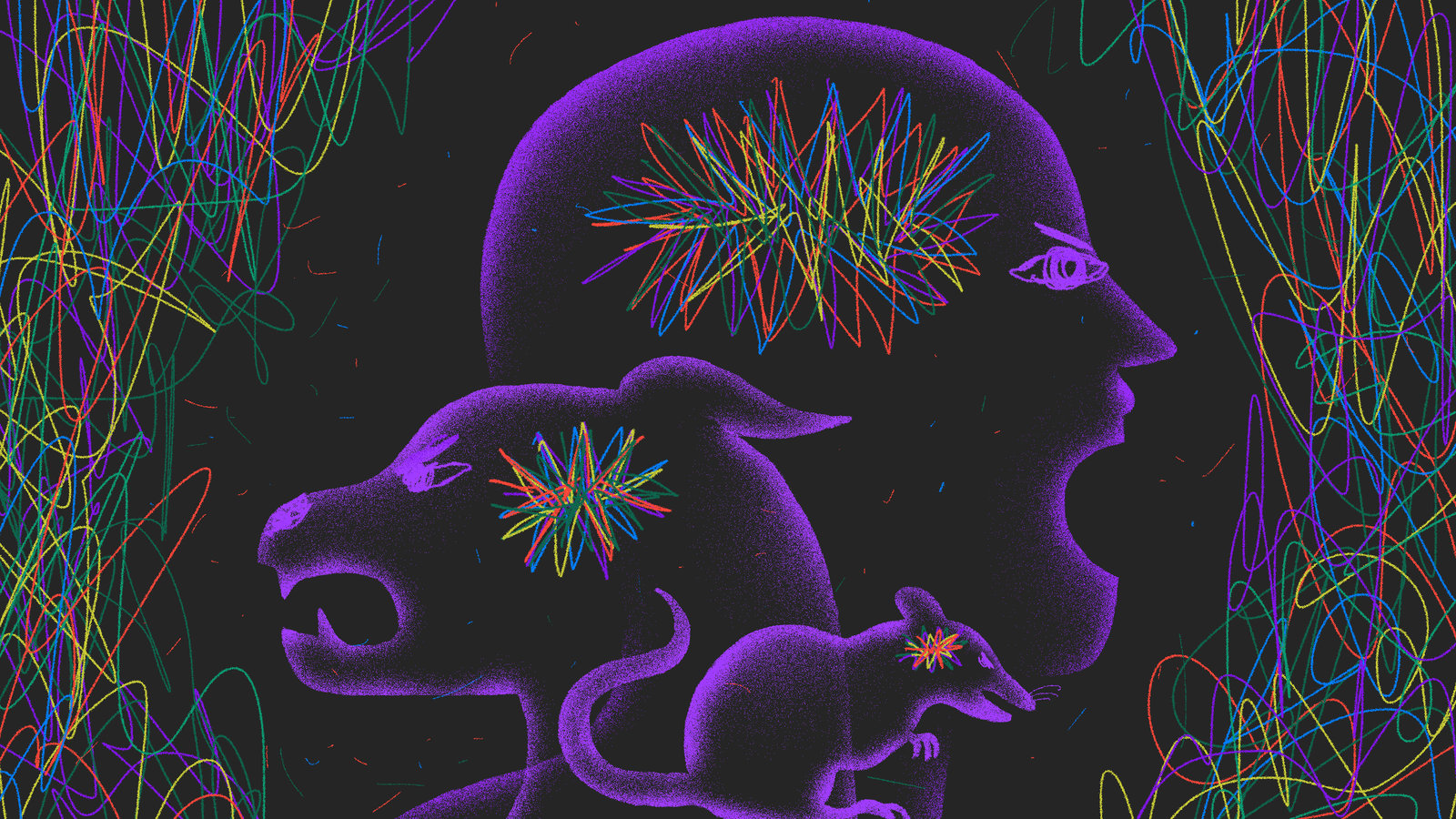 From Fruit Fly To Stink Eye: Searching For Anger’s Animal Root