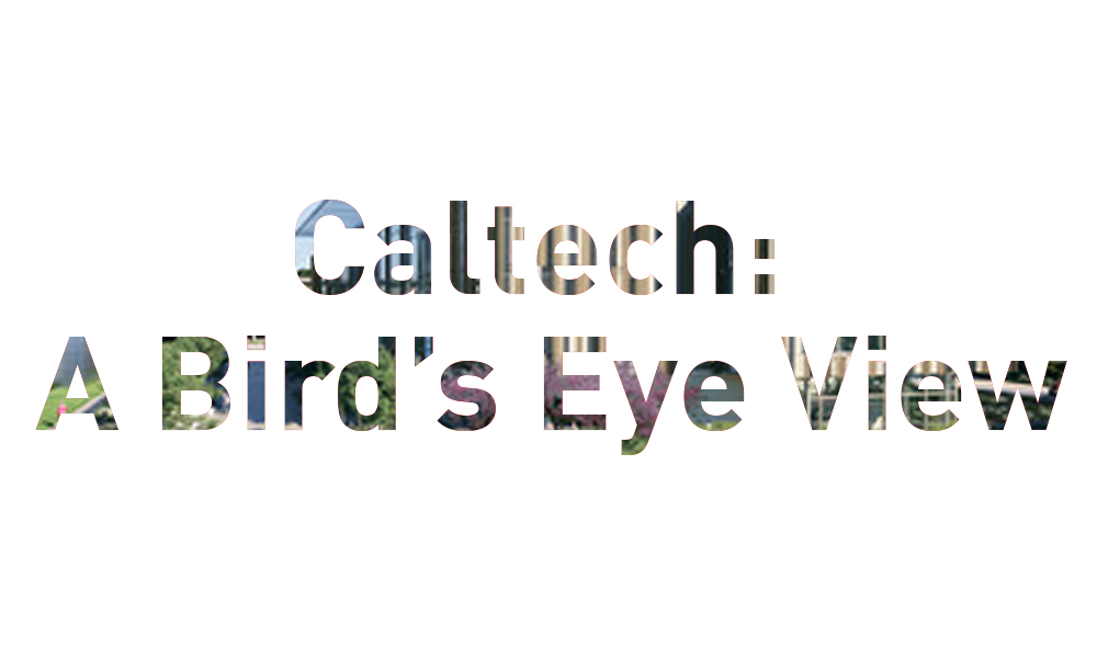 Caltech: A Bird’s Eye View