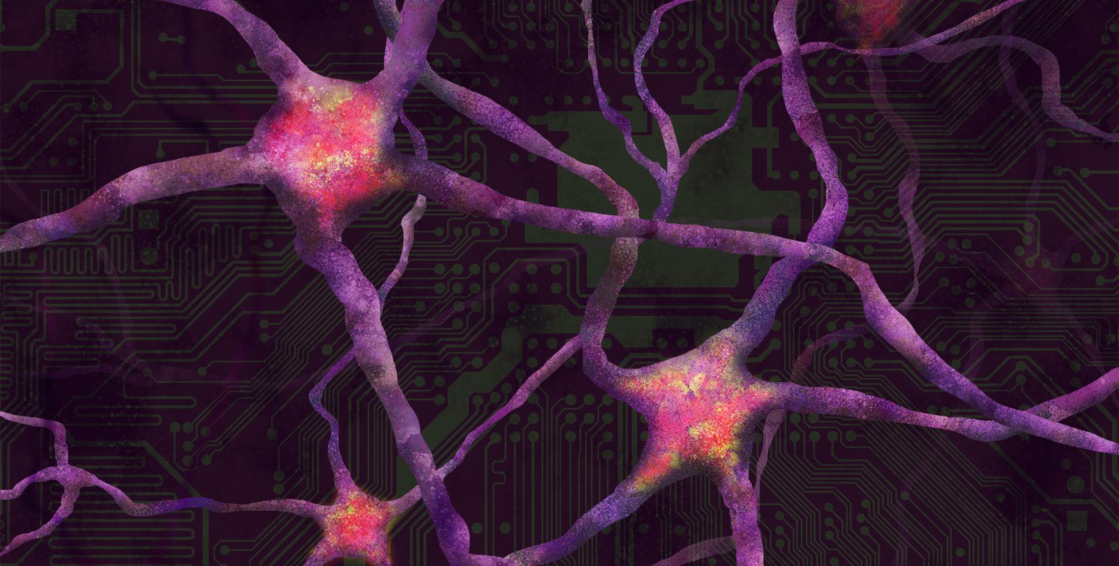 How the Brain Learns New Skills