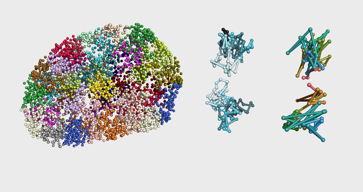 “Nuclear Physics”: Imaging into the Heart of a Cell