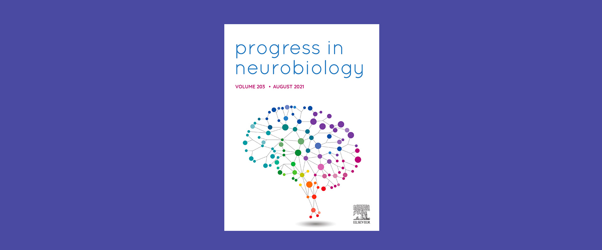 Neural Circuitry Underlying REM Sleep