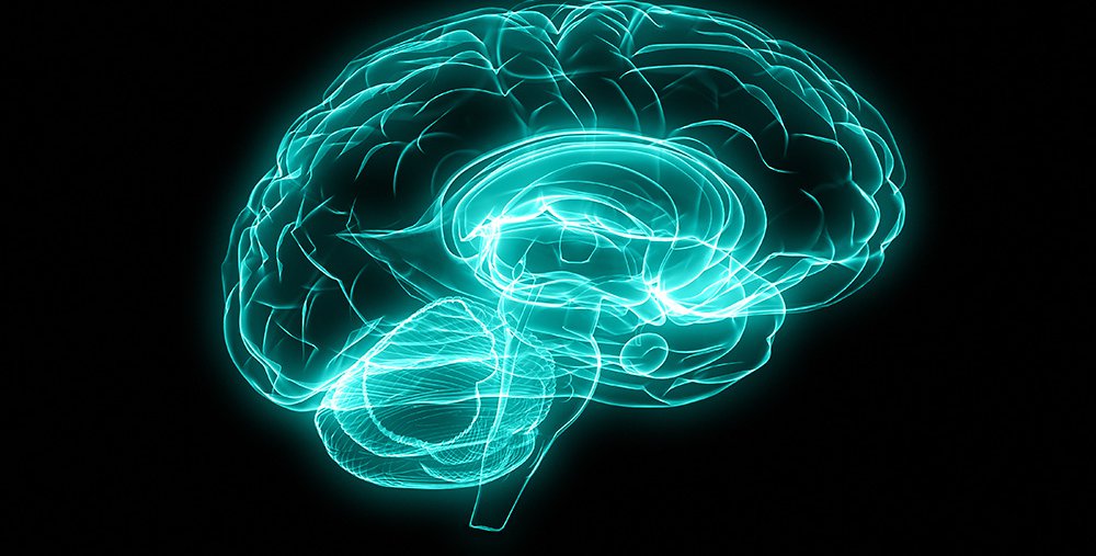 Seven Caltech Faculty are Principal Investigators on NIH BRAIN Grants