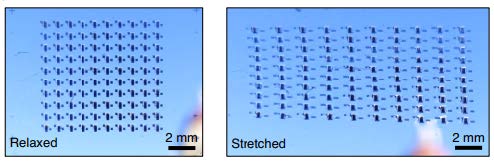 Strain-insensitive stretchable electronics for wearables