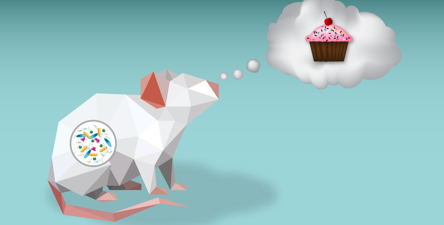 Gut Microbes Influence Binge-Eating of Sweet Treats in Mice