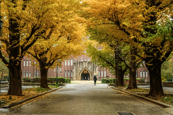 2022 TCCI Fall Newsletter