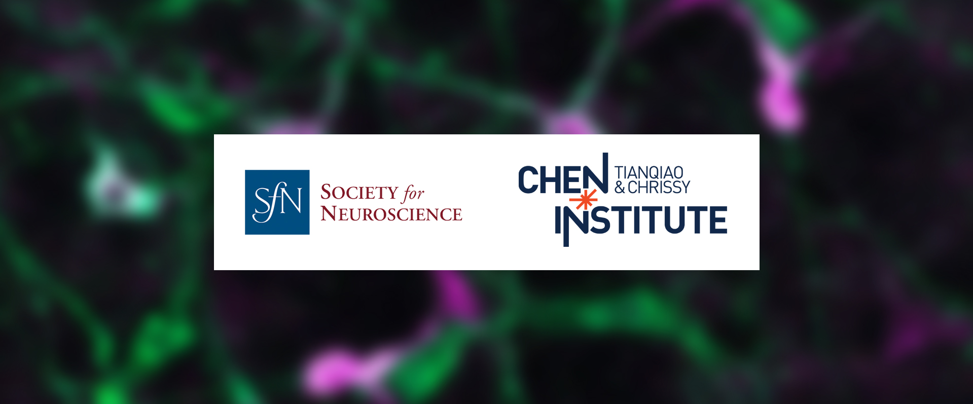 SfN Announces Partnership With the Tianqiao and Chrissy Chen Institute to Support Early Career Scientists