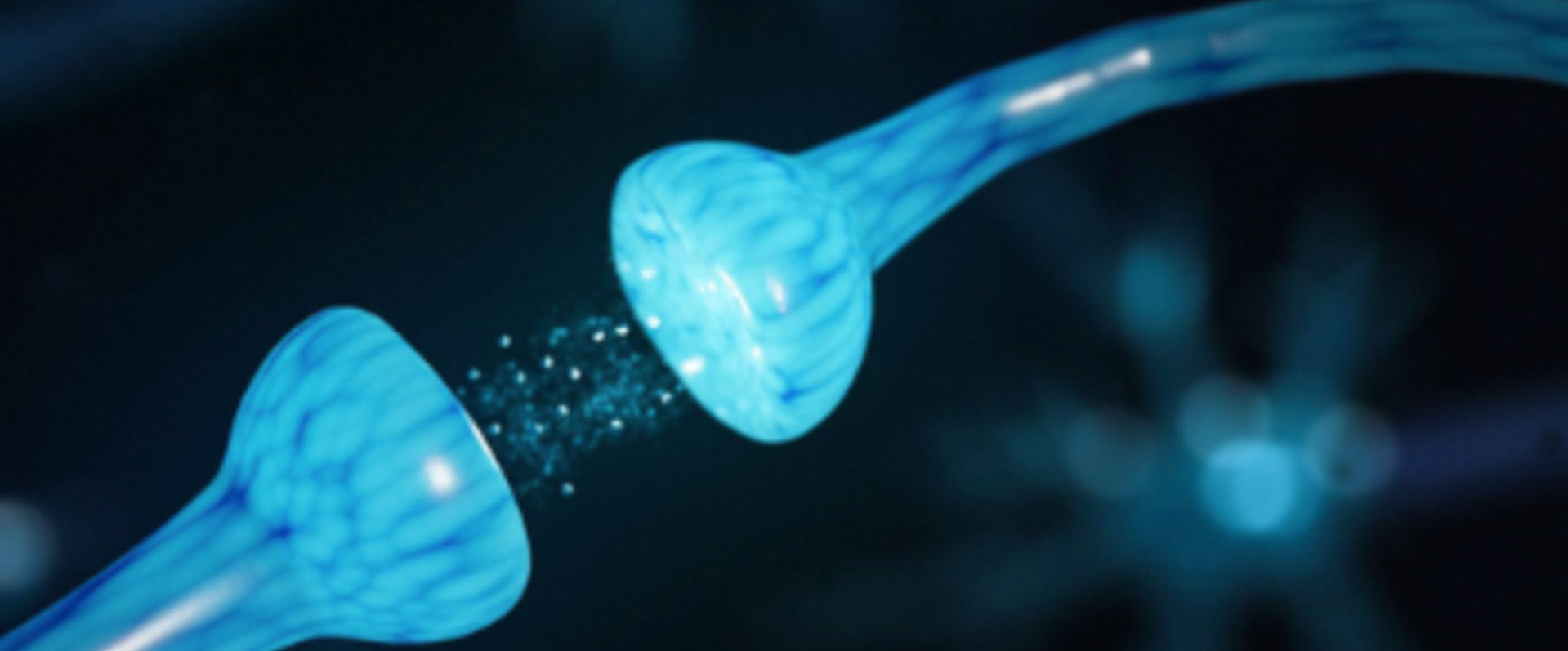 NanoNeuro 2023