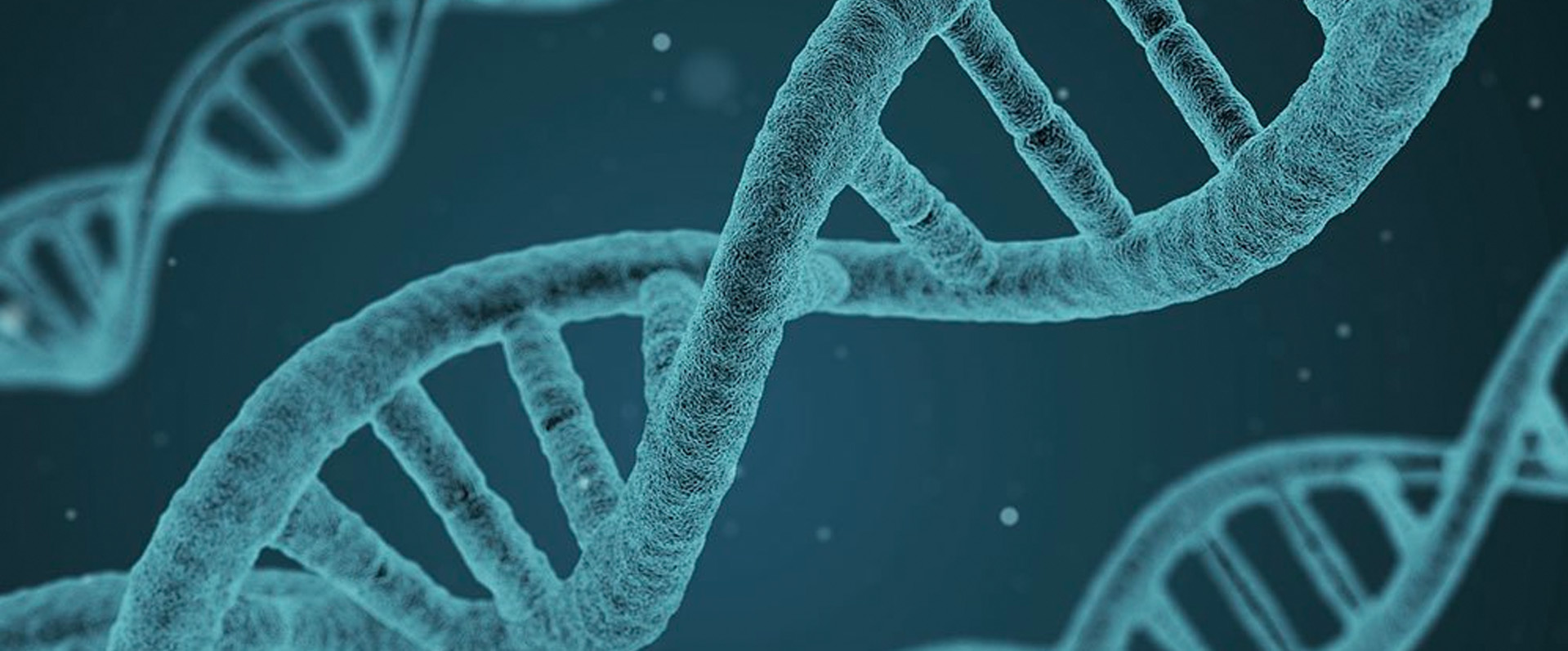 “Invisible” Cell Types and Gene Expression Revealed with Sequencing Data Analysis Improvement