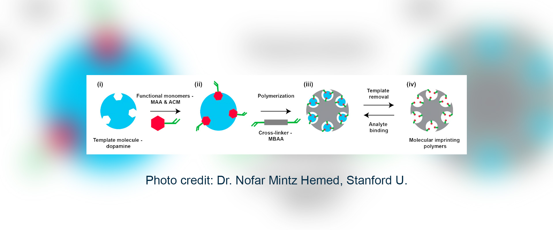 Stanford Researchers Develop Molecularly Imprinted Polymers for Continual, Real-time Sensing of Dopamine for Health Monitoring