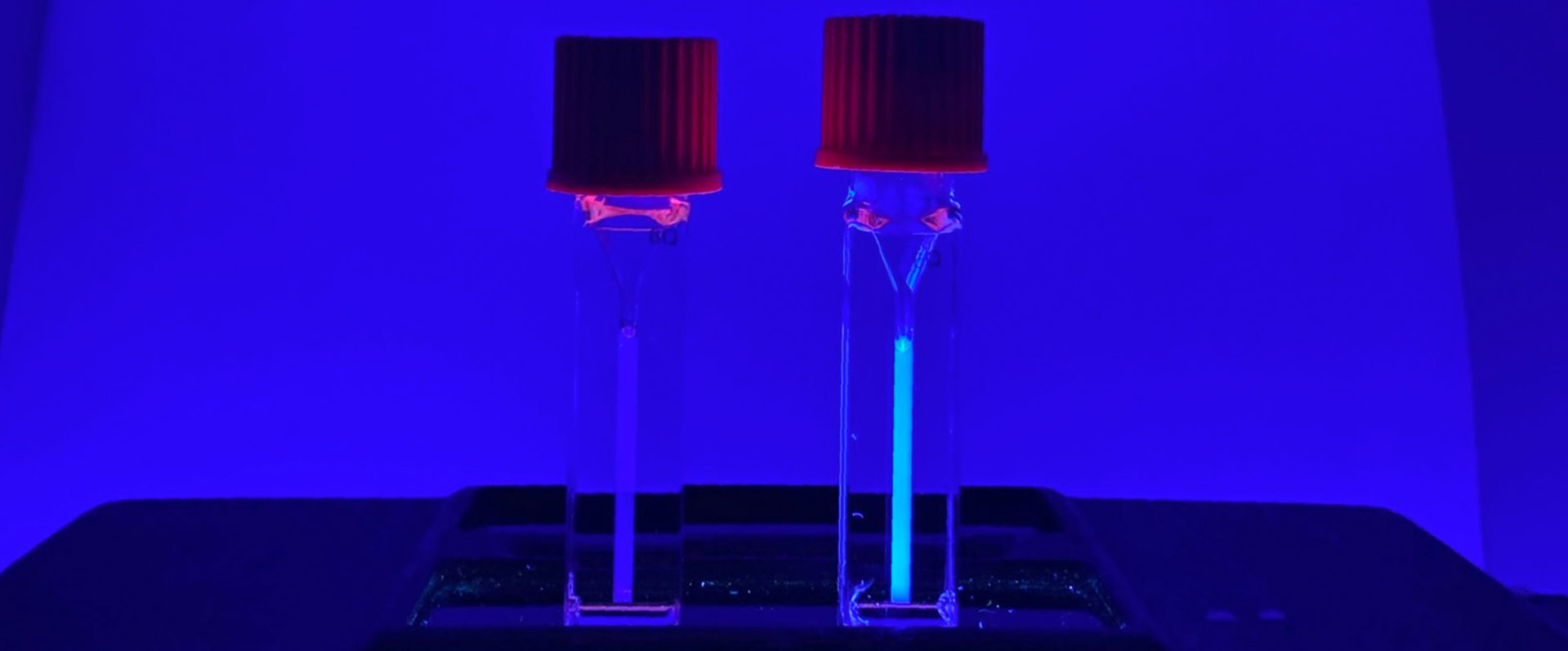 Drug Delivery Platform Uses Sound for Targeting 