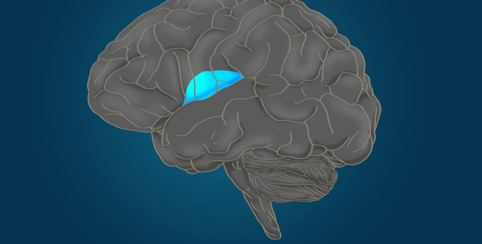 When Does the Brain Process Reward and Risk?