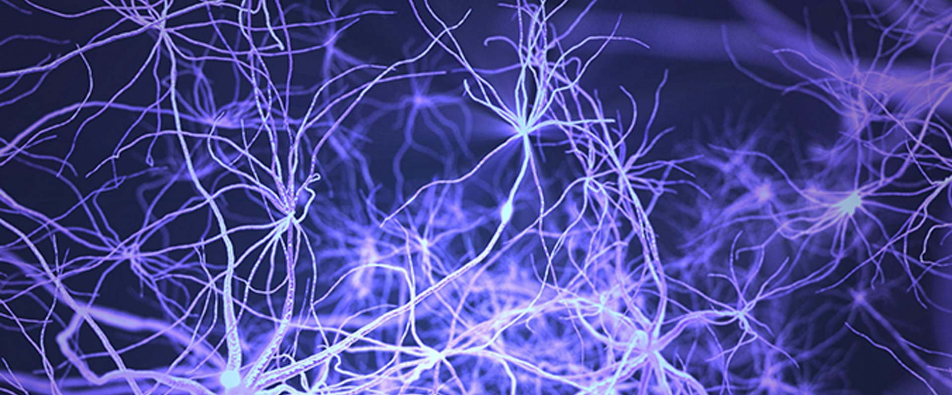 Thinking Slowly: The Paradoxical Slowness of Human Behavior